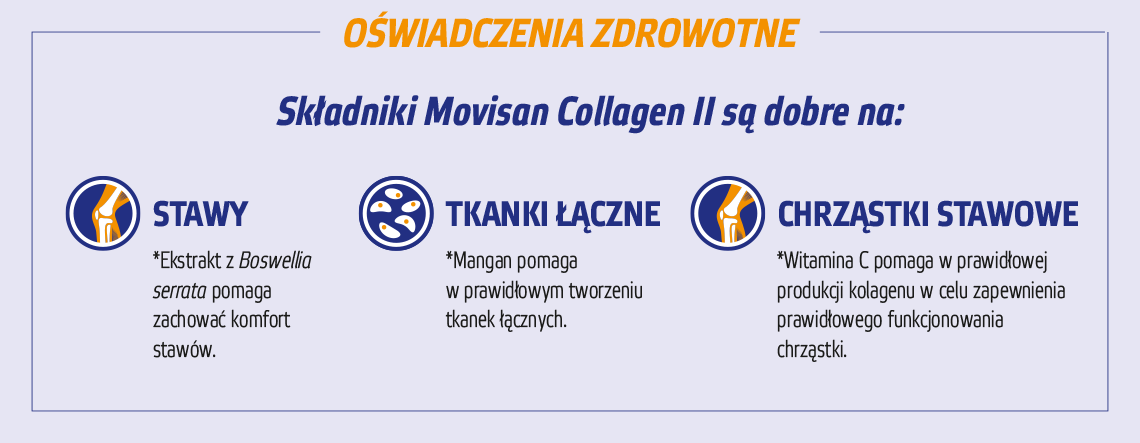 Natural Pharmaceuticals Movisan™ Collagen II Infografika przedstawia zdrowotne korzyści składników Movisan Collagen II Collagen II dla stawów, tkanek łącznych i chrząstek stawowych, z wyszczególnieniem ekstraktu z Boswellia serrata, manganu oraz witaminy C.